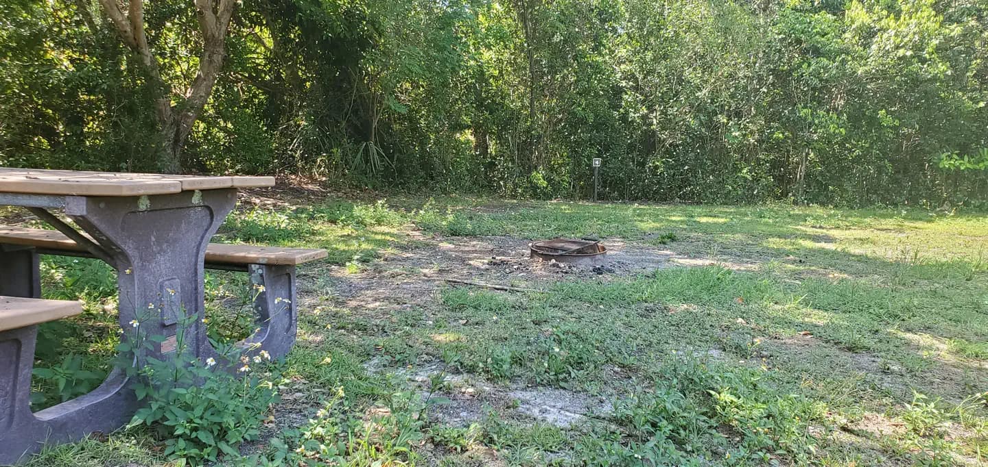 Pinecrest Group Campground