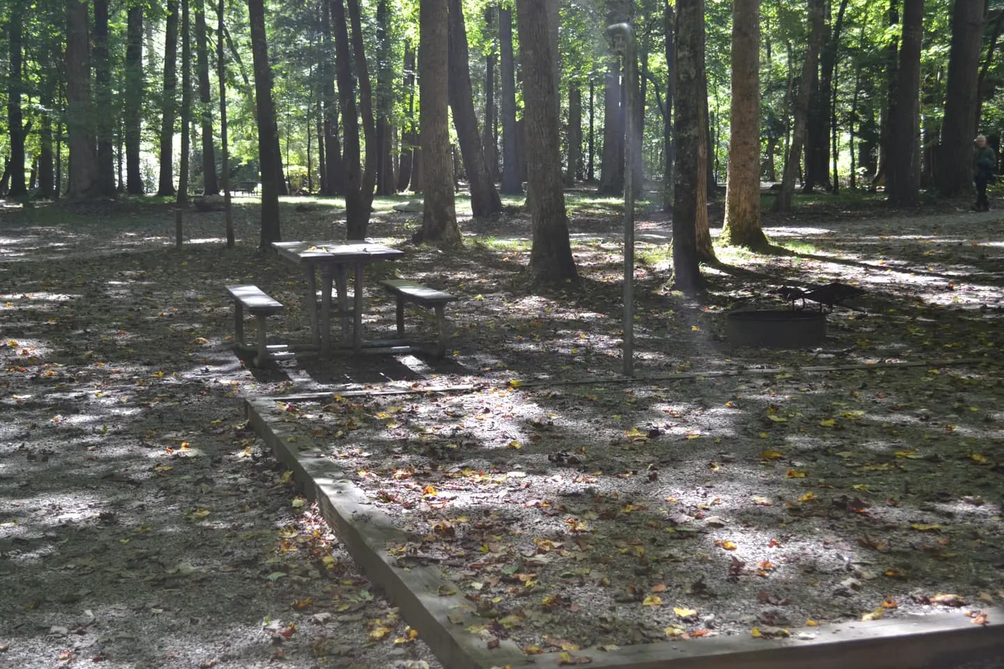 CATALOOCHEE CAMPGROUND