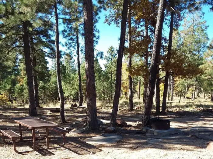 MOGOLLON CAMPGROUND