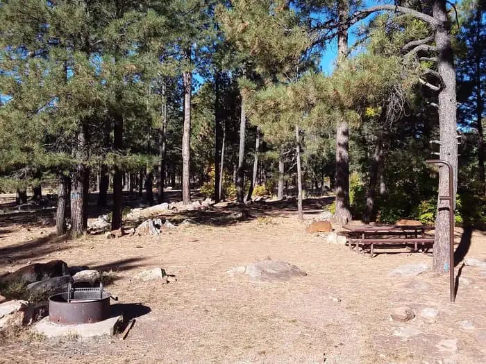 Rim Campground