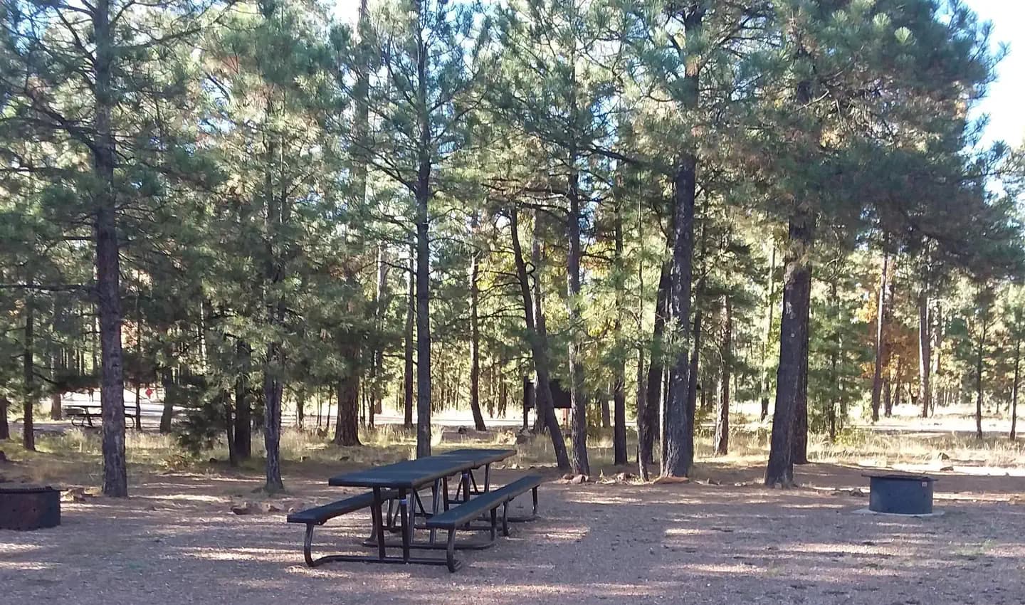 Woods Canyon Lake Group