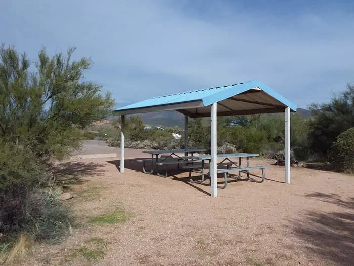 Cholla Campground