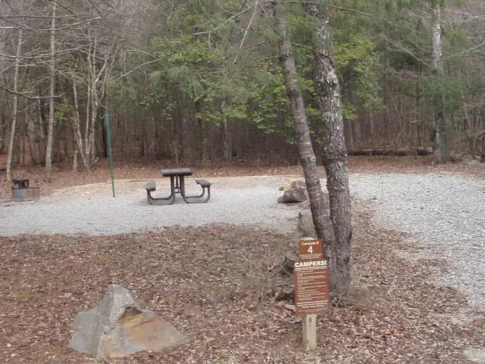 Cooper Creek Campground (GA)