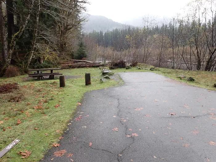 Hoh Rainforest Campground