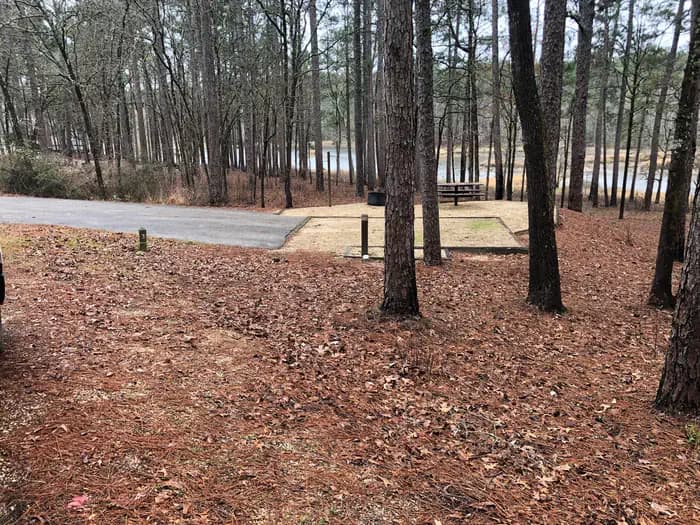 Turkey Fork Recreation Area