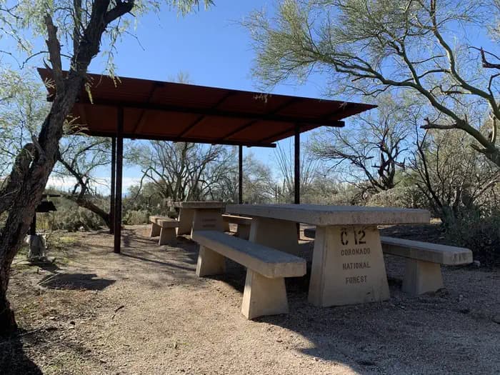SABINO CANYON RECREATION AREA CACTUS RAMADA 1