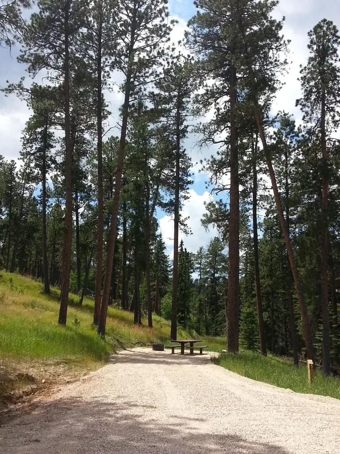 WILLOW CREEK HORSE CAMP