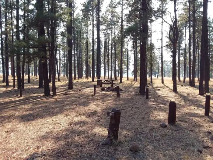 BENNY CREEK GROUP AREA