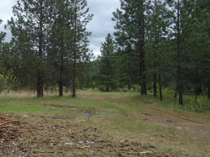 Sloway Campground (MT)