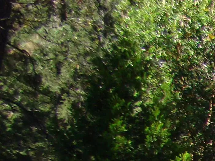 Pine Point (Shasta Lake, CA)