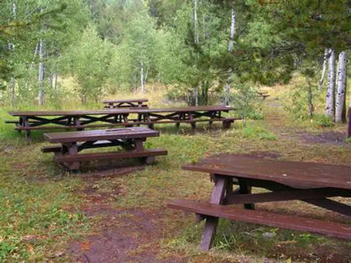 ALLRED FLATS GROUP PICNIC SITE