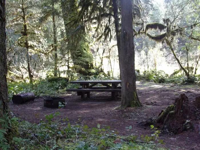 LIMBERLOST CAMPGROUND
