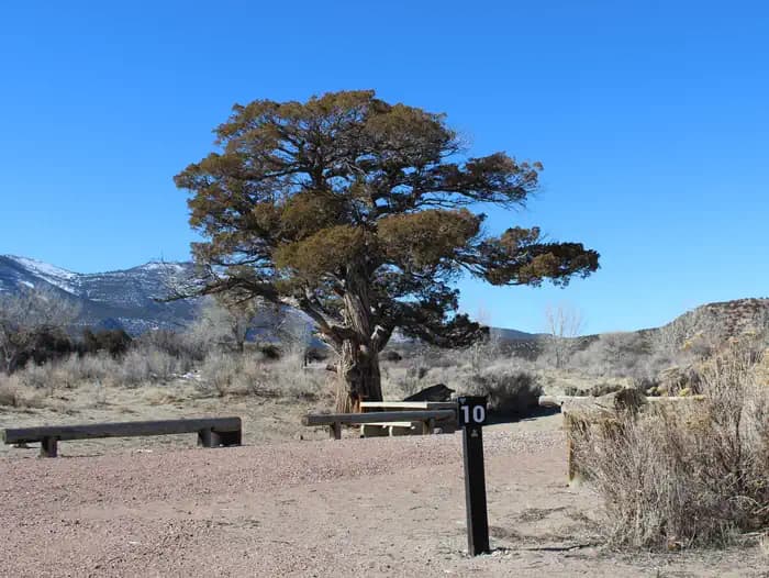 Bridge Hollow Campground