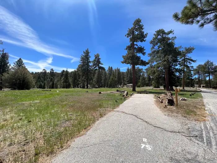 TABLE MOUNTAIN (ANGELES)