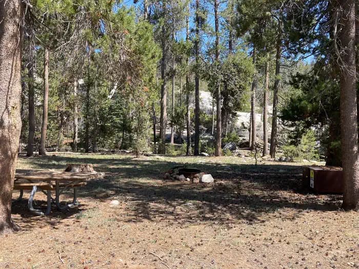 Yosemite Creek Campground