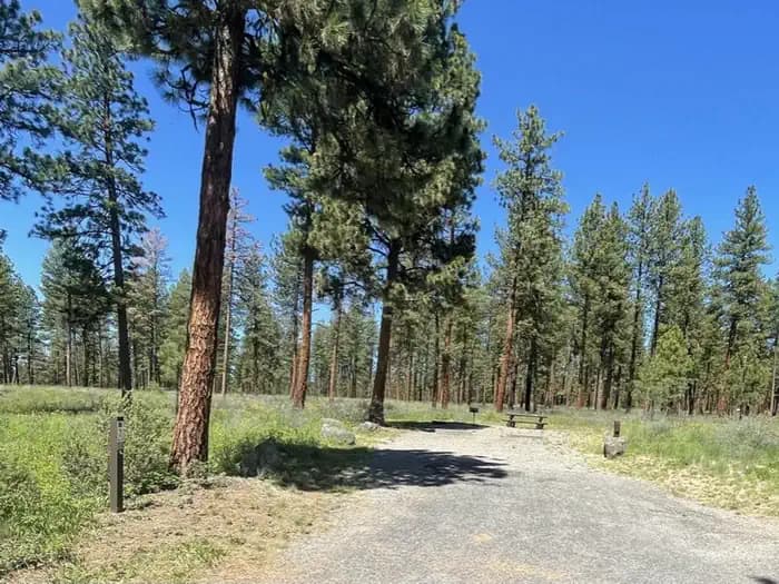 UNION CREEK CAMPGROUND