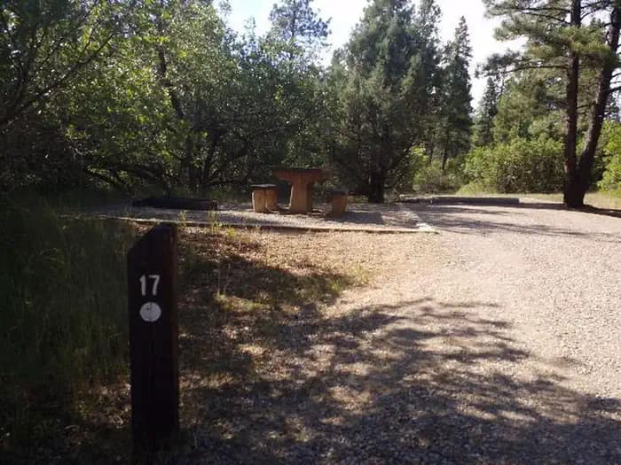 TARGET TREE CAMPGROUND