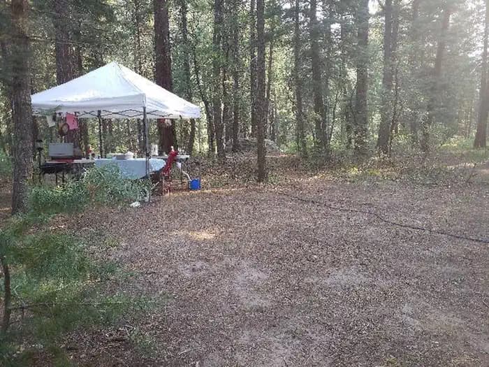 East Fork Campground (San Juan NF - CO)