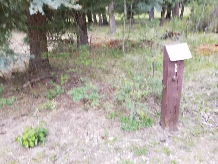 PALISADES HORSE CAMP