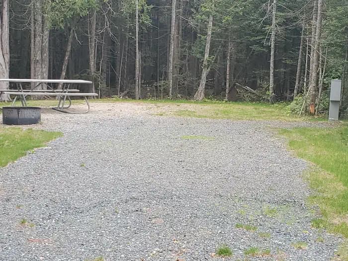 Schoodic Woods Campground