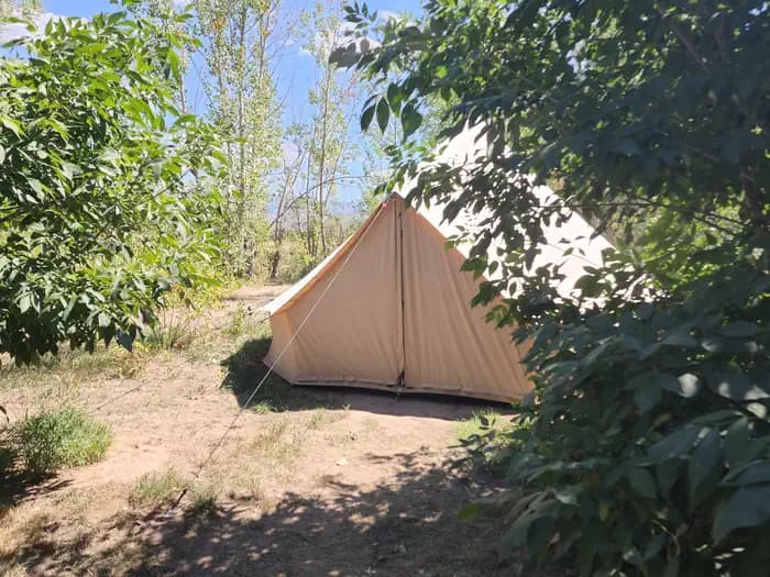 Anderson Cove (Uinta-Wasatch-Cache National Forest, UT)