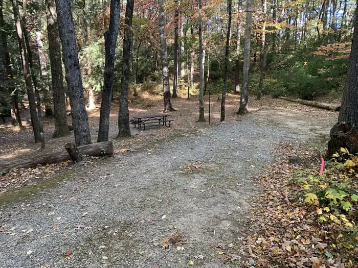 Dockery Lake Recreation Area