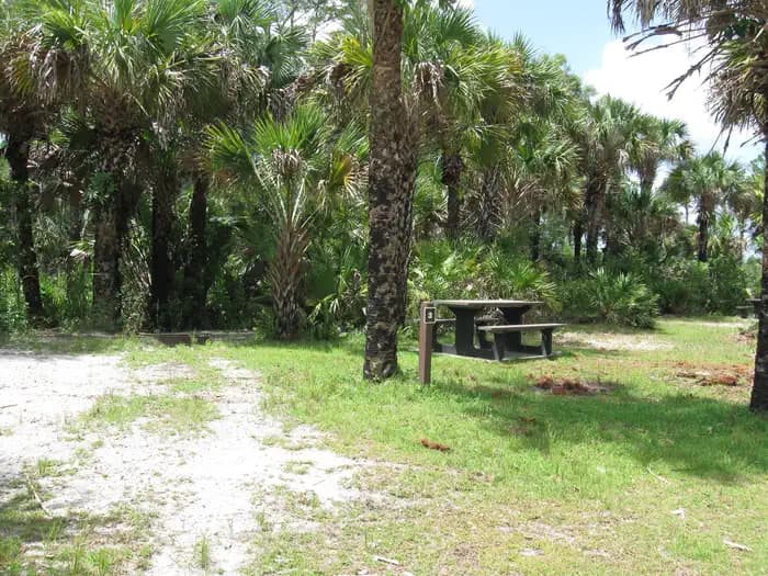 Gator Head Campground
