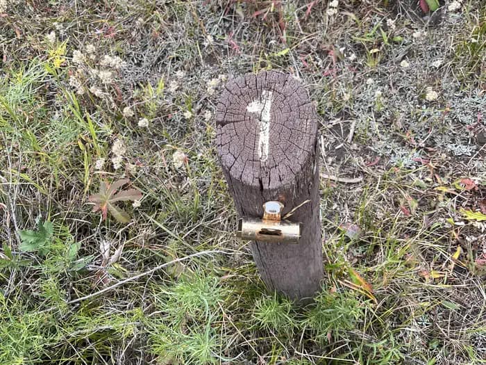 Bottle Creek Campground (WY)