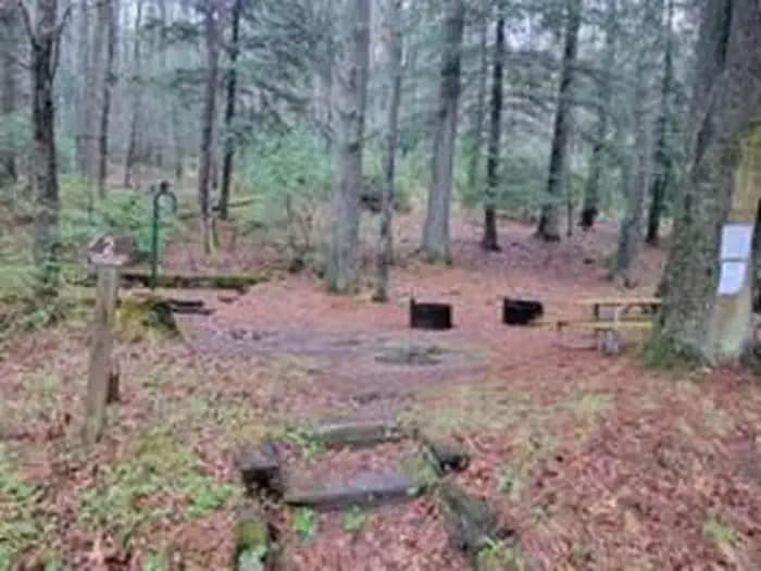 Toccoa River Sandy Bottoms Campground