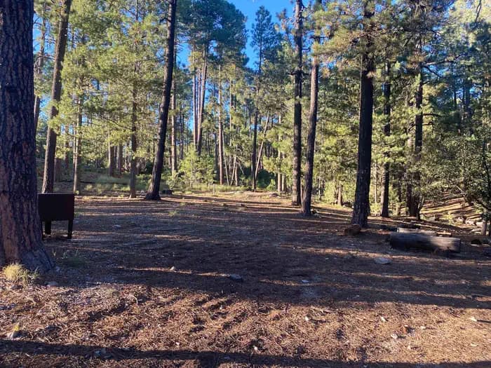 Saguaro National Park Wilderness Permits