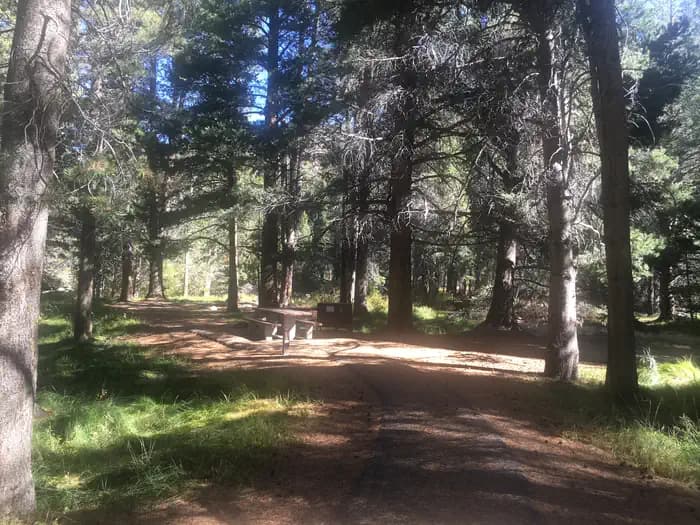 ROBINSON CREEK SOUTH