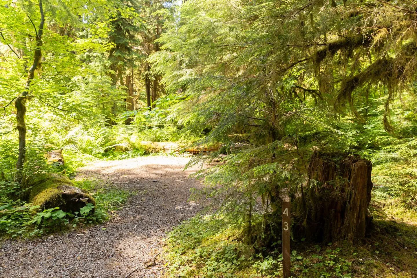SOL DUC HOT SPRINGS RESORT CAMPGROUND