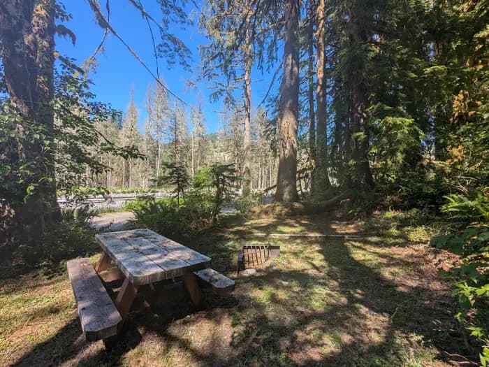 Gold Basin Campground