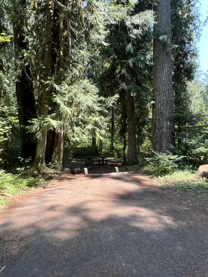 RIVERSIDE AT DETROIT (Willamette National Forest, OR)