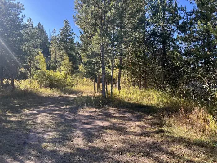 East Fork Bear River Campground (Uinta-Wasatch-Cache National Forest, UT)