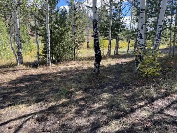 Shingle Creek ATV Campground