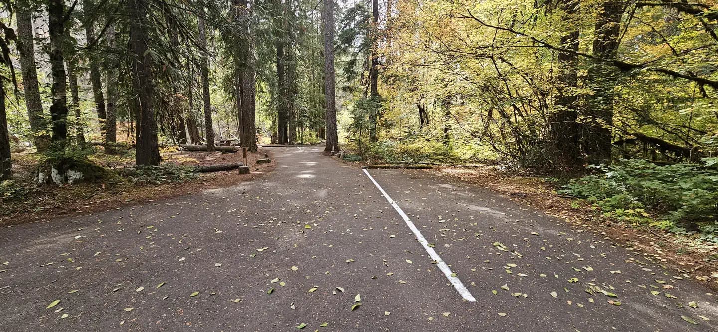 BREITENBUSH CAMPGROUND