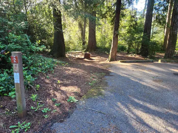 Tyee Campground - Oregon Dunes