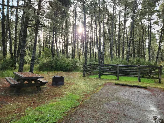 WILD MARE HORSE CAMP