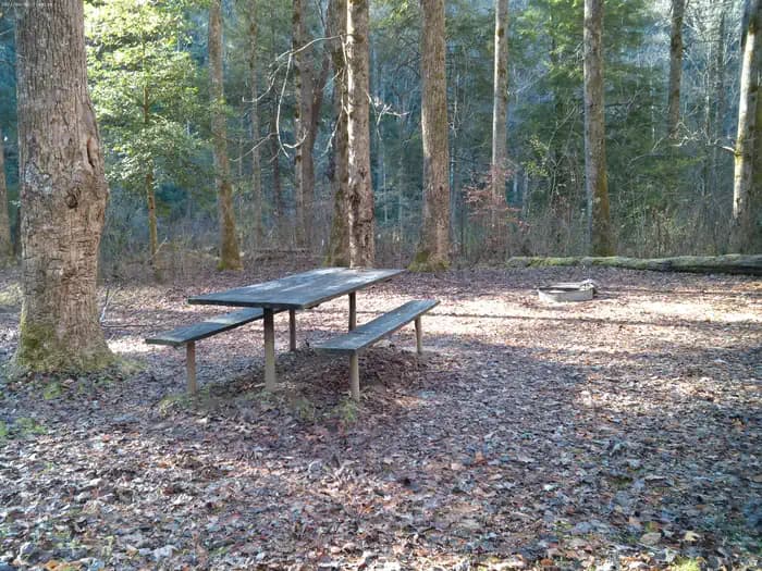 West Fork Campground (Clayton, GA)
