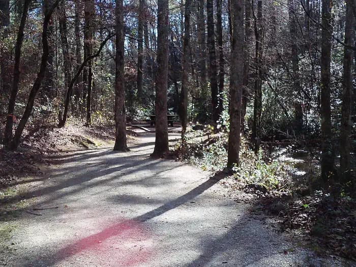 Sarah's Creek Campground (Clayton, GA)