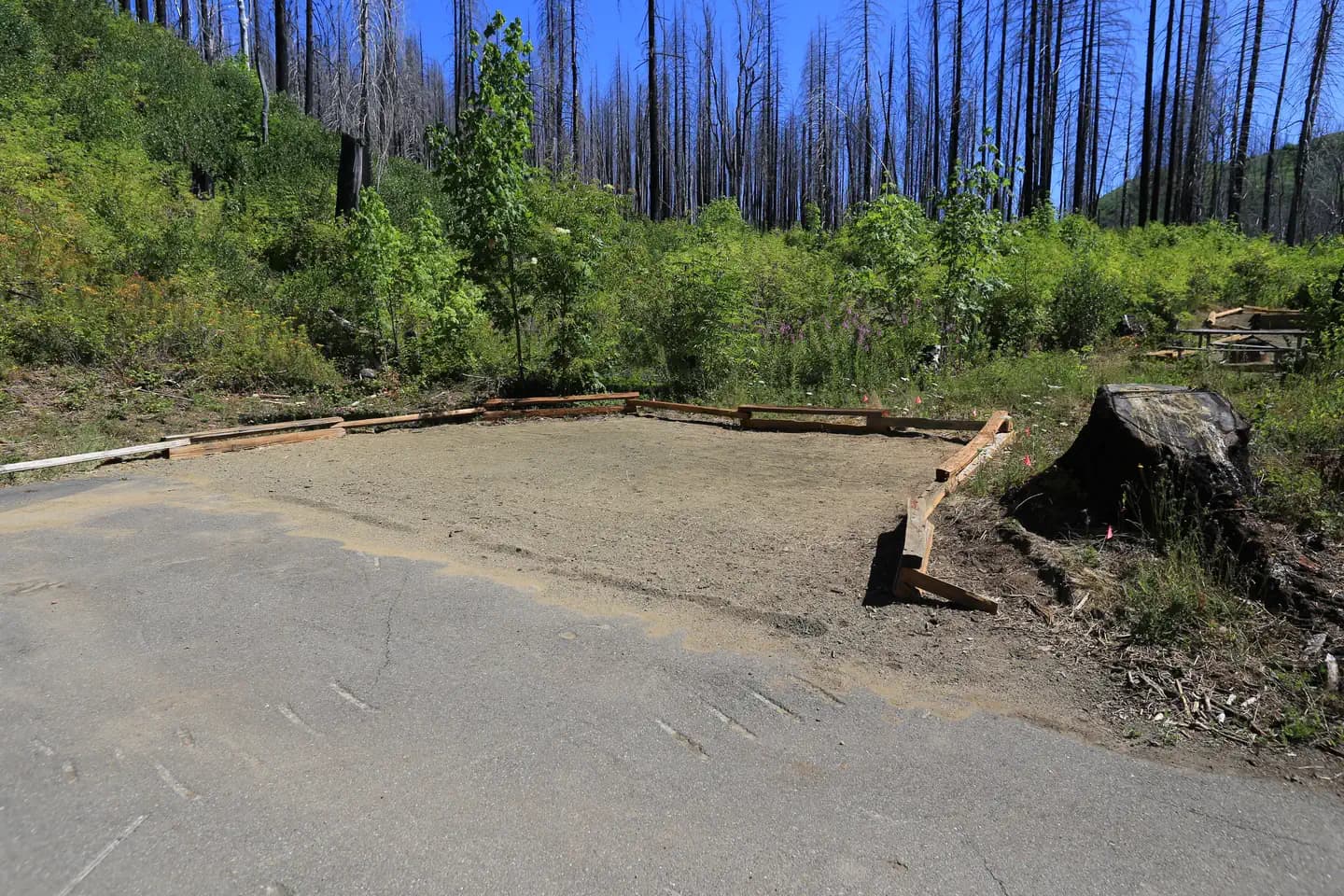 Lone Pine Group Campground
