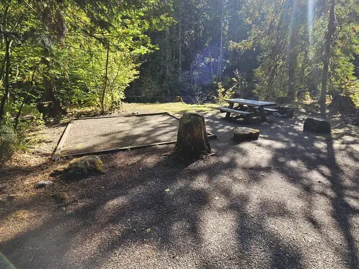 Douglas Fir Campground