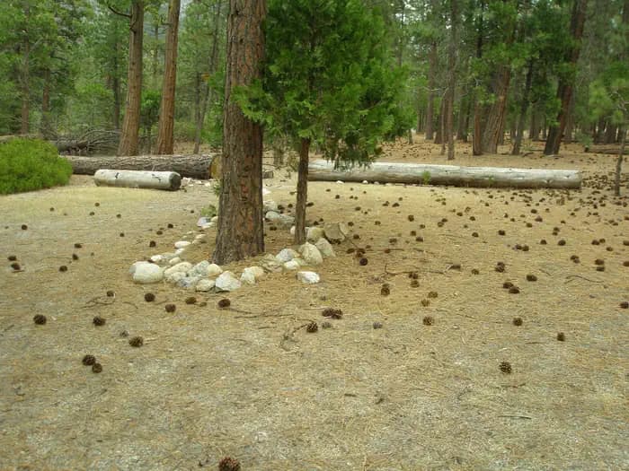 CANYON VIEW GROUP SITES